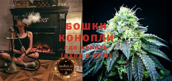 сатива Пестово