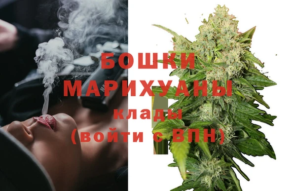 прущие грибы Грязовец