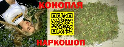 спайс Аргун