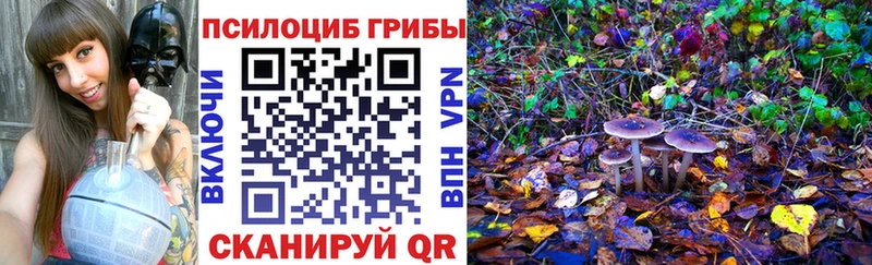 Псилоцибиновые грибы мухоморы  купить наркотик  Асбест 