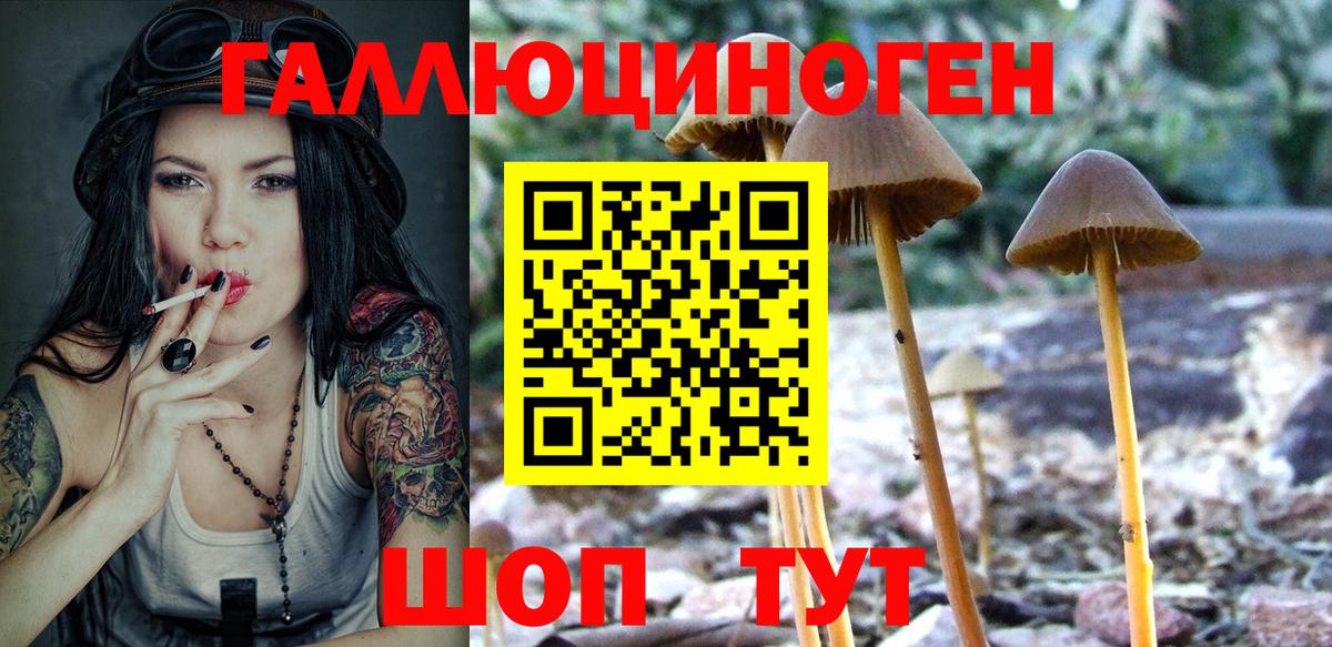 Псилоцибиновые грибы Psilocybine cubensis  Асбест  Псилоцибиновые грибы Psilocybe 