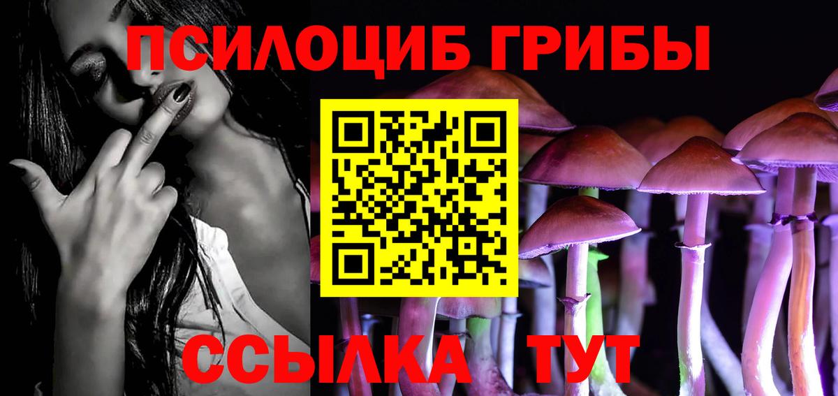 Псилоцибиновые грибы прущие грибы Асбест