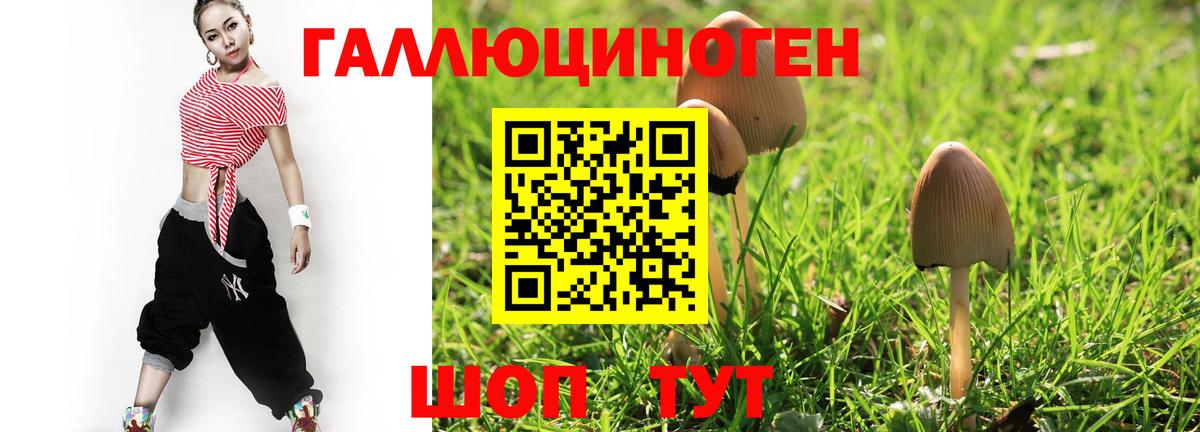 Галлюциногенные грибы Psilocybe Асбест