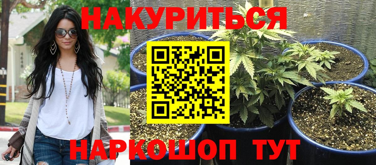 Канабис OG Kush  Канабис ГИДРОПОН  Бошки марихуана THC 21%  Асбест 